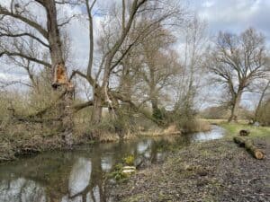 A scene from the Lyde tributary