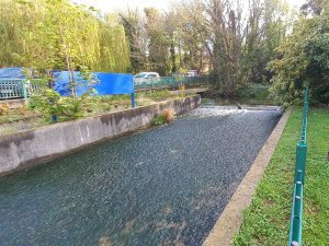 Questor weir before our work