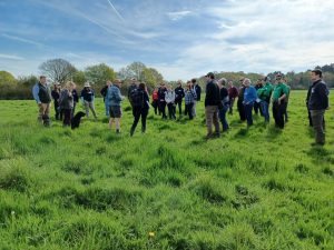 Nature-based Solution visitors standing in one of the areas used for mob grazing