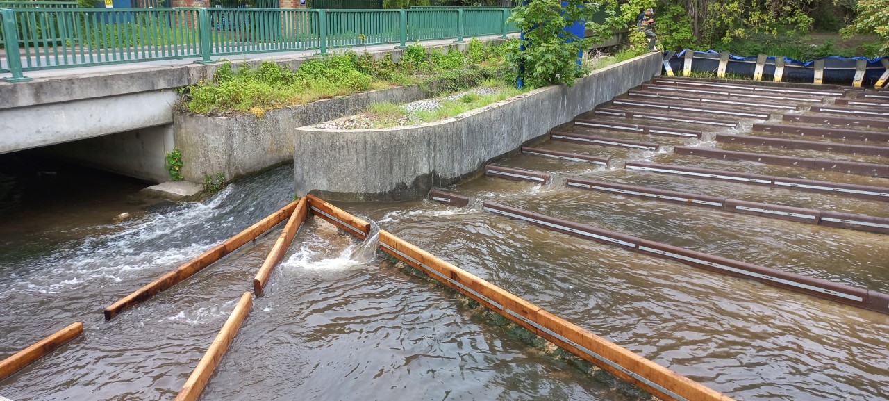 Baffles boost fish on the Darent