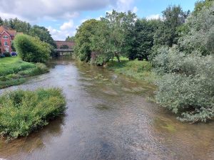 The River Mole at Leatherhead