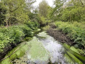 Backwater exploration