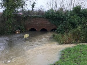 River Lyde, Water Quality 