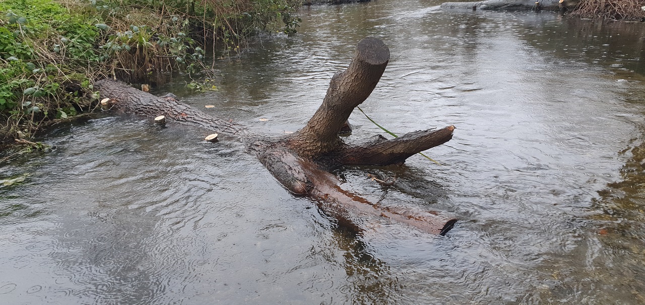 A deflector secured in place at Morden Hall Park. Picked for its ability to host birds