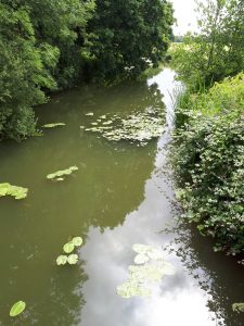 An impounded, or enclosed, section of river