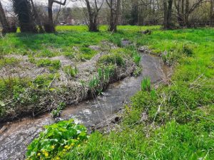 Natural bypass around a weir