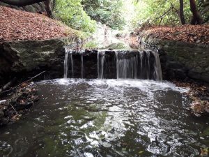 Impassable weir at Sundridge