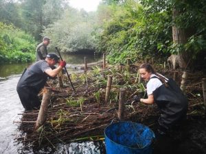 Planting a berm at Morden Hall Park on the River Wandle