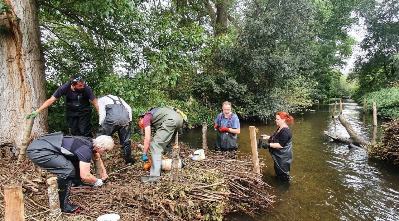 Working wonders in Wandle Fortnight