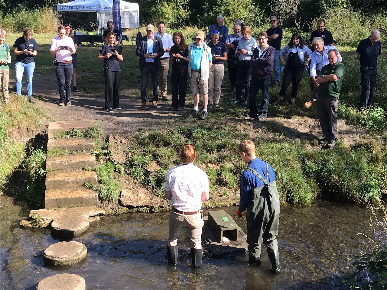 Natural England funds will bring back water voles, eels and trout to the Hogsmill