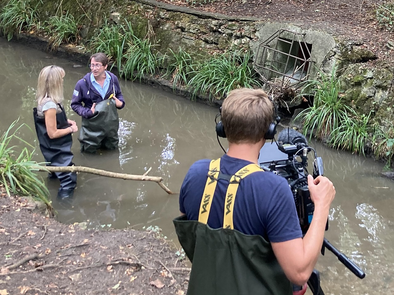 Three actions to take after watching Swimming in Sewage