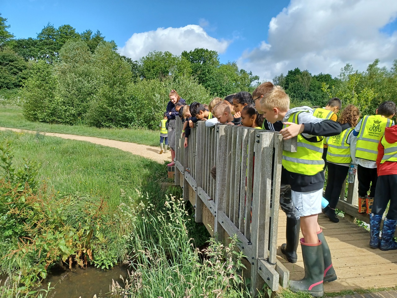 Family Friendly Guided Walk, Elmbridge Meadows – Hogsmill River