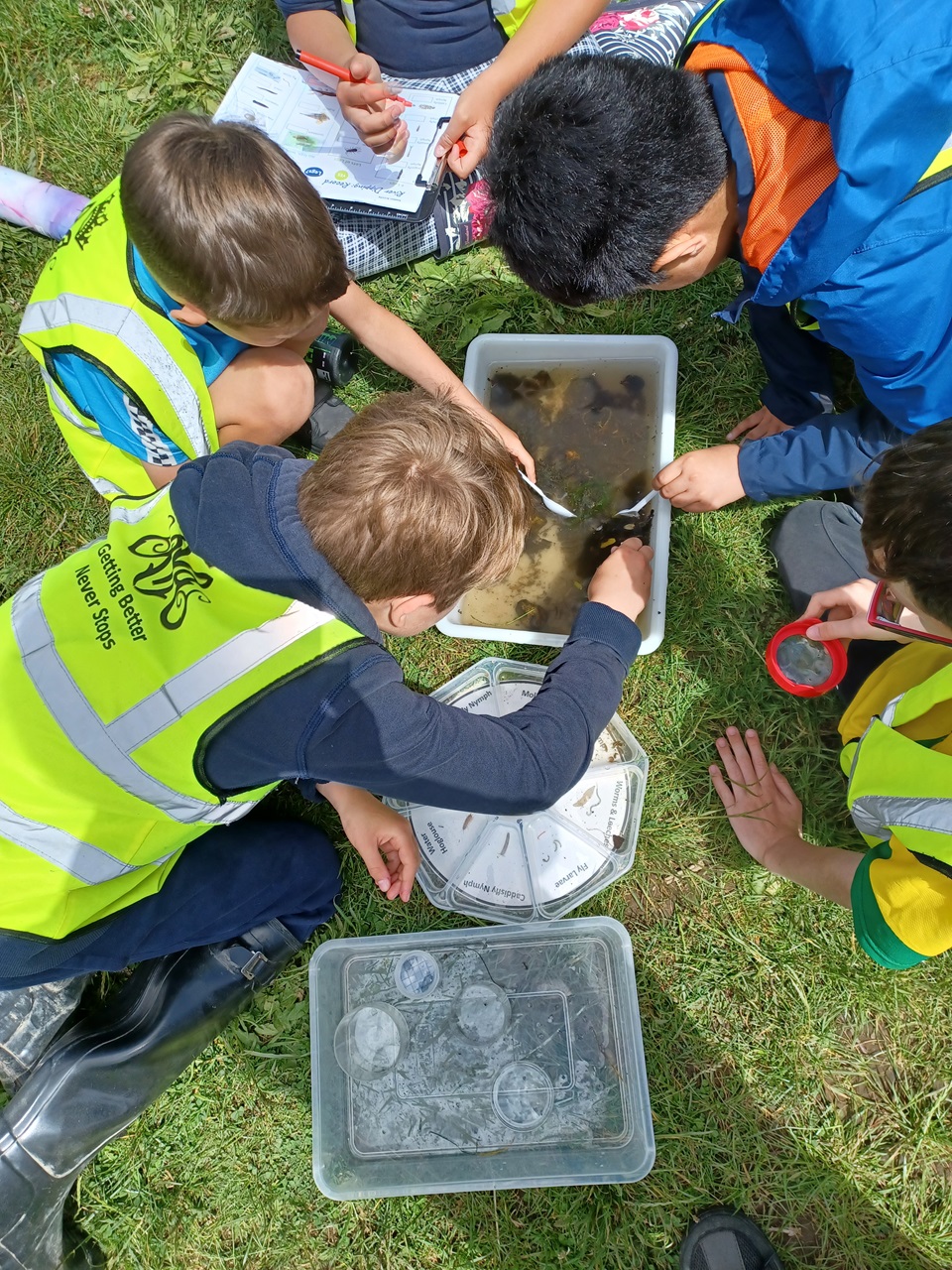 Cast your vote at Tesco to help us educate children on the Mole