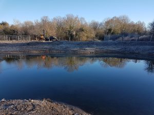 Part of the 2000m2 wetlands at Chamber Mead