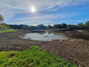 Chamber Mead wetlands during construction