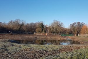 Part of the Chamber Mead wetlands