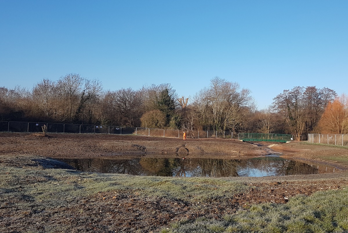 Chamber Mead wetlands recognised at sustainability awards