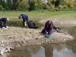 Plants are added to the wetlands