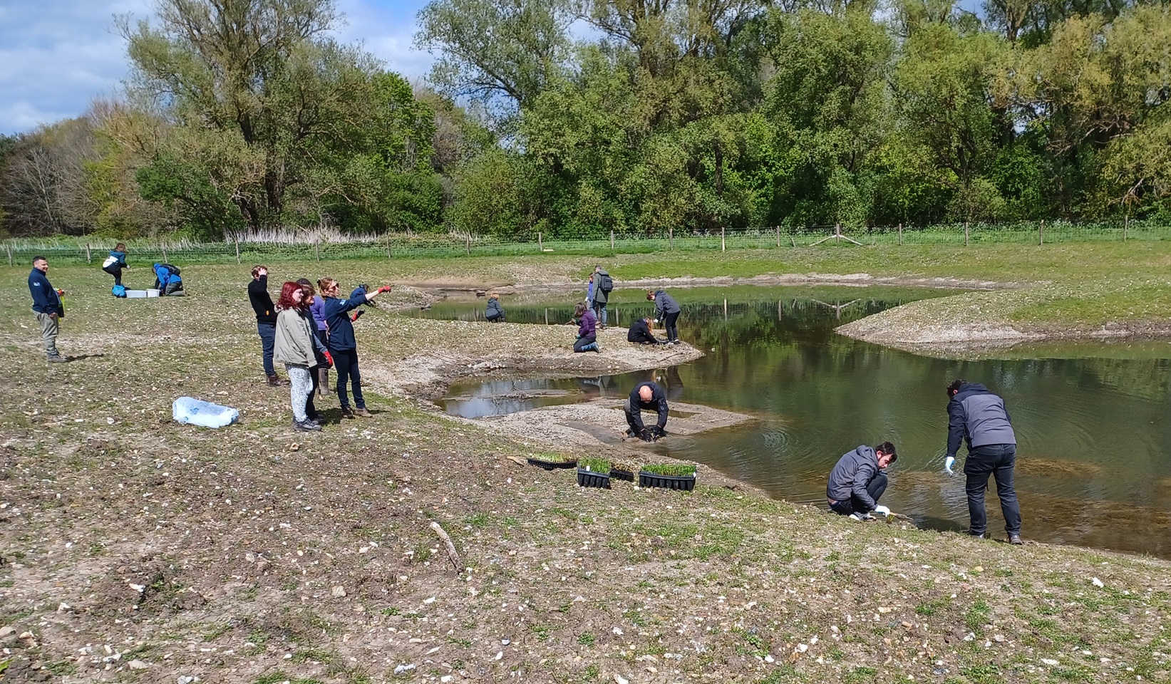 Volunteers start to plant up the wetlands