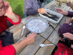 Volunteers checking a river sample