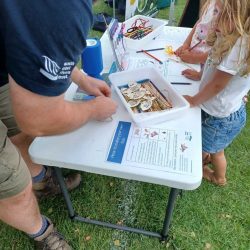 Craft activity by the South East Rivers Trust