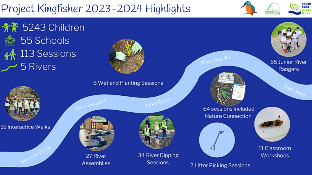 A visual summary of the highlights of Project Kingfisher 