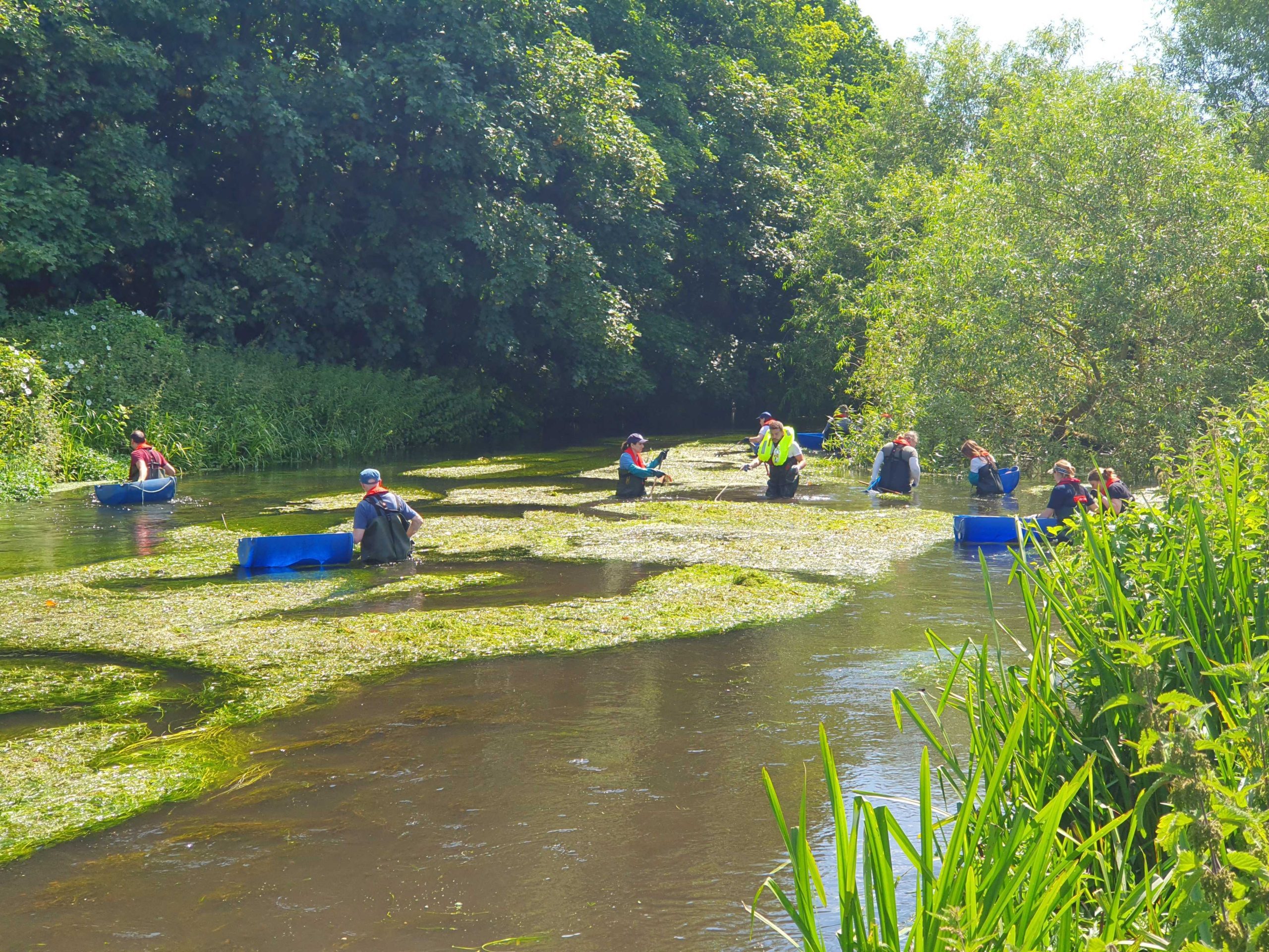 London Rivers Week 2024