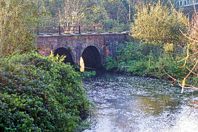 New Survey Finds Cocktail of Harmful Chemicals in Rivers Across the South East